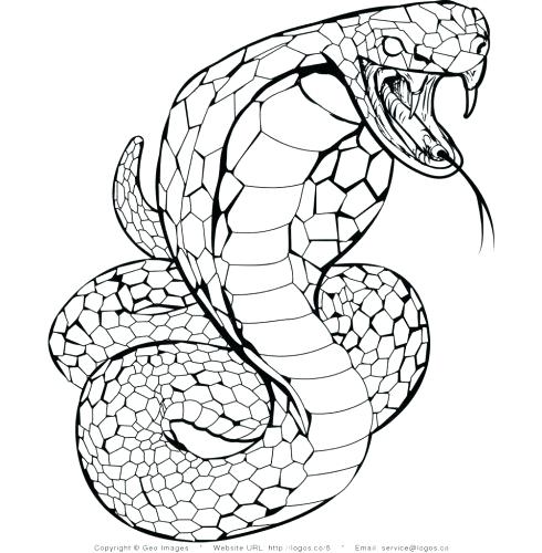 490x500 Coloring Pages Snake Coloring Page Free Pages From Realistic