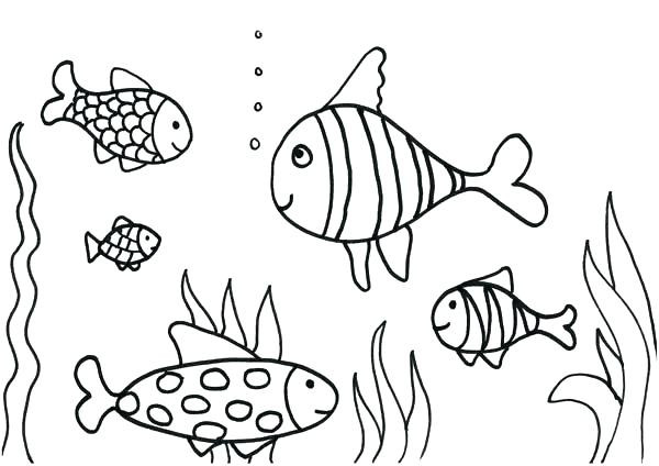 600x424 Viper Fish Coloring Pages Free Coloring Pages