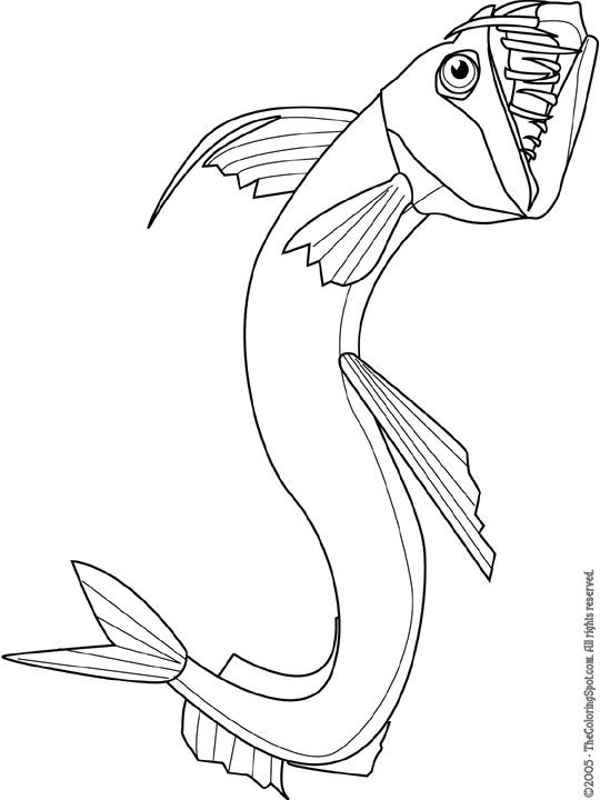 540x720 Viperfish School Is Cool Angler Fish