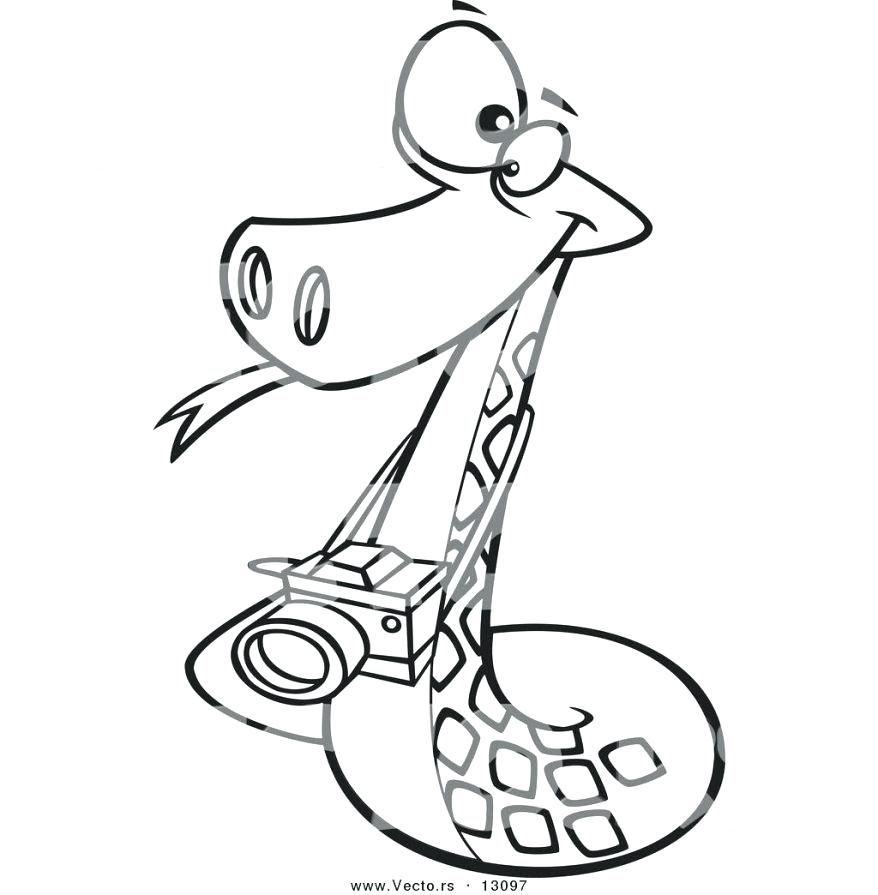 878x895 Coloring Pages Awesome Snake Rattlesnake Sheets Free Coloring