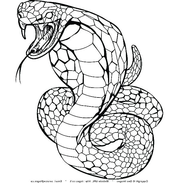 600x612 Rattlesnake Coloring Page Coloring Page Snake Snake Coloring Pages