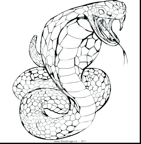 490x500 Snake Color Page Snake Color Page Snake Coloring Sheets