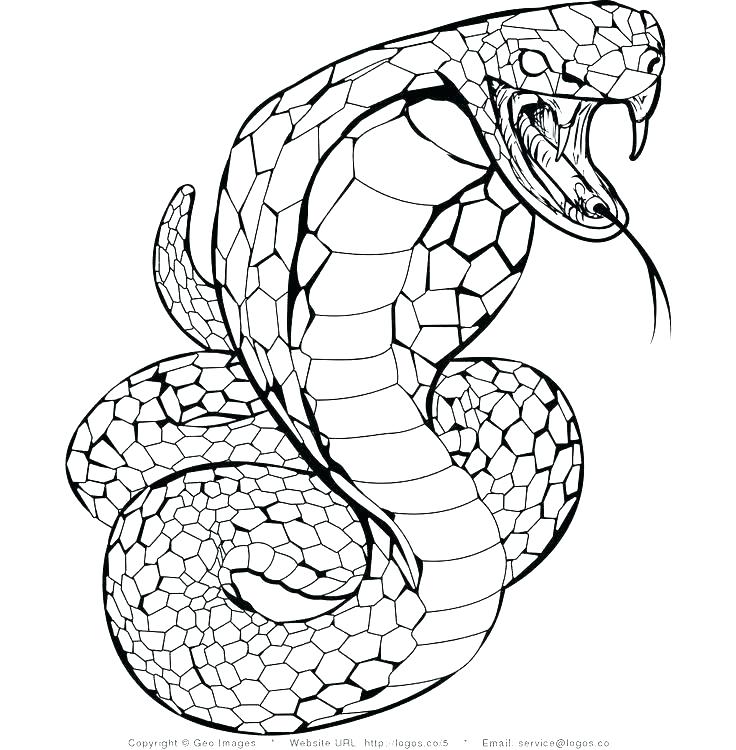 736x750 Snakes Coloring Pages