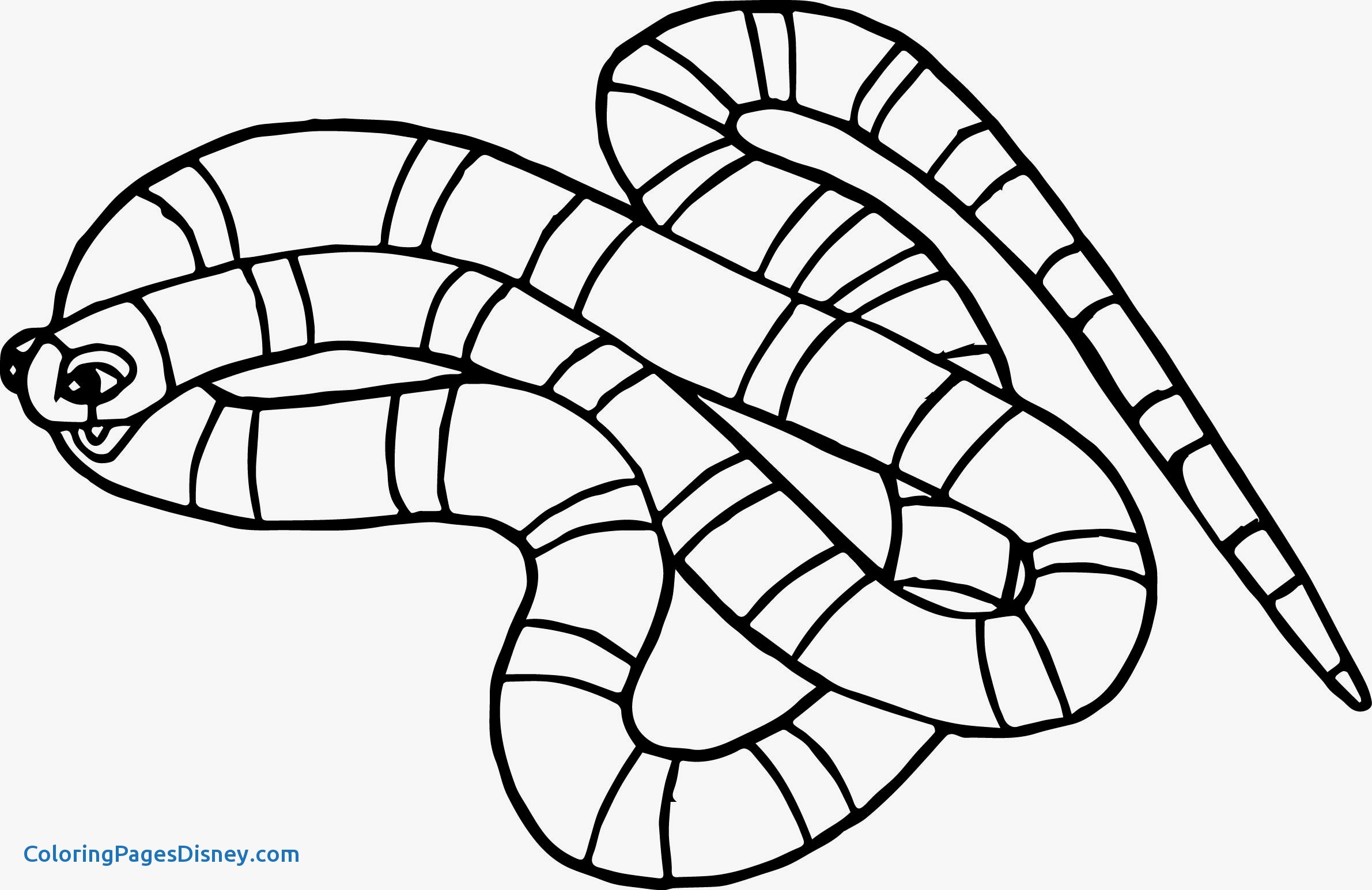 2381x1545 Snakes Coloring Pages Lovely Snake Animals Coloring Pages For Kids