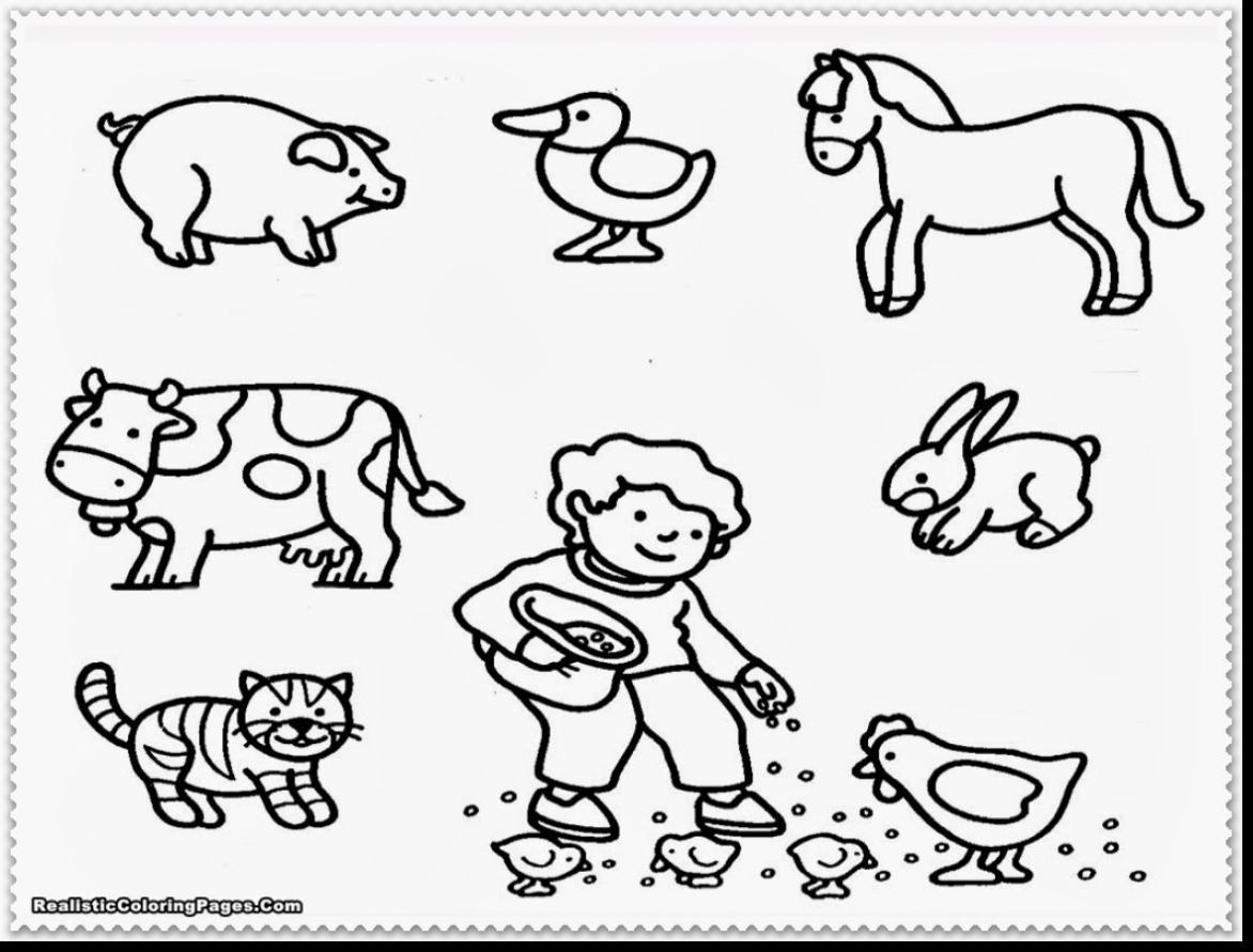 1172x891 The Best Good Zoo Coloring With Animal Page For Of Preschool