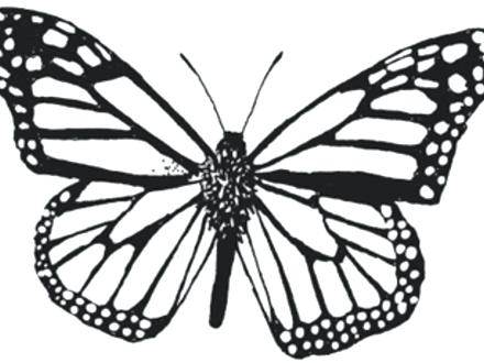 440x330 Virginia Coloring Page Virginia Map Coloring Page