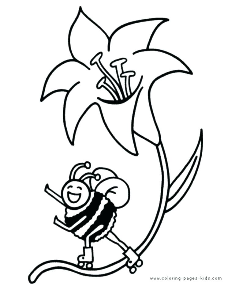 768x960 Honey Beehive Coloring Page Bee To Color Pages Free Printable