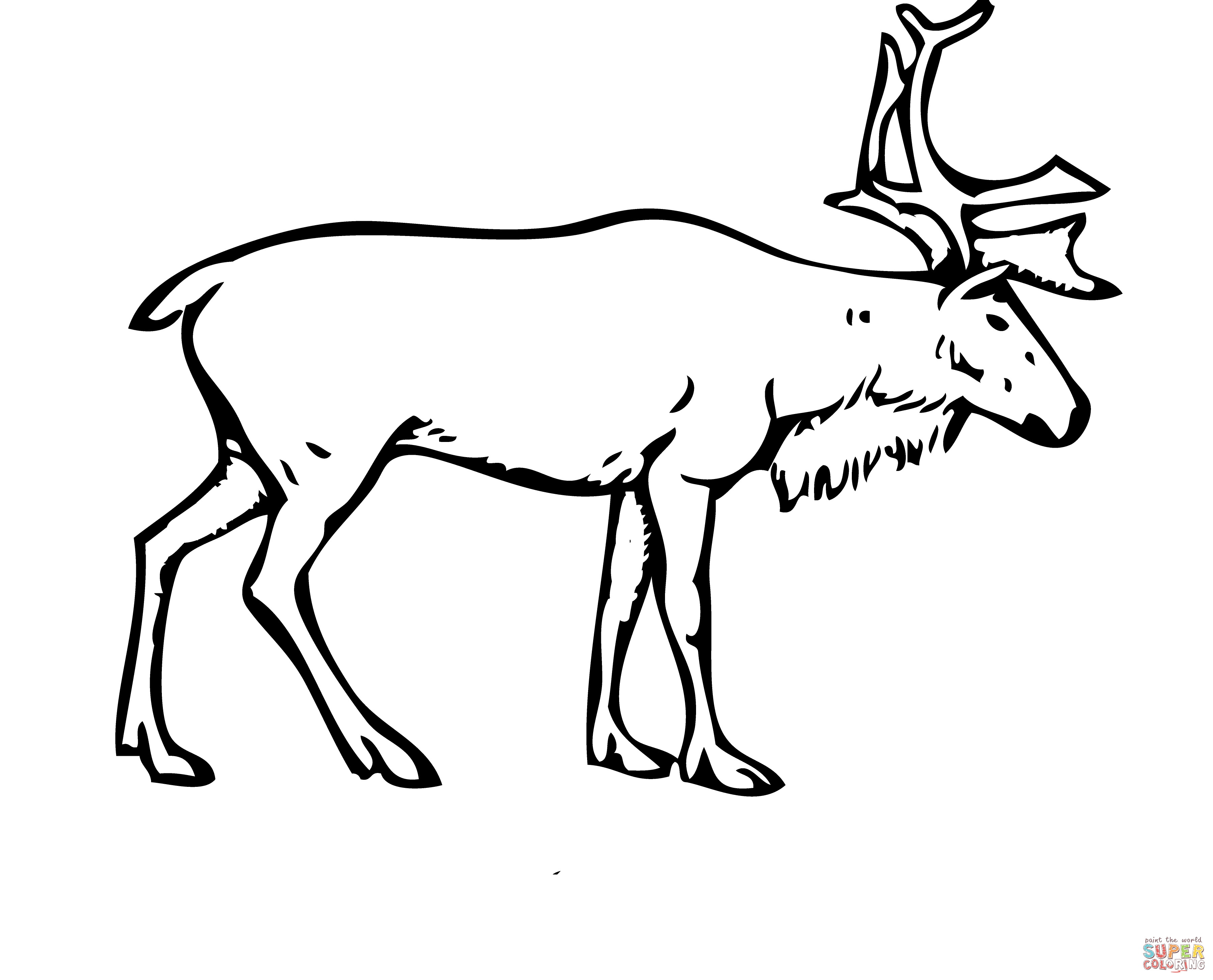 3597x2907 Top Reindeer Coloring Pages
