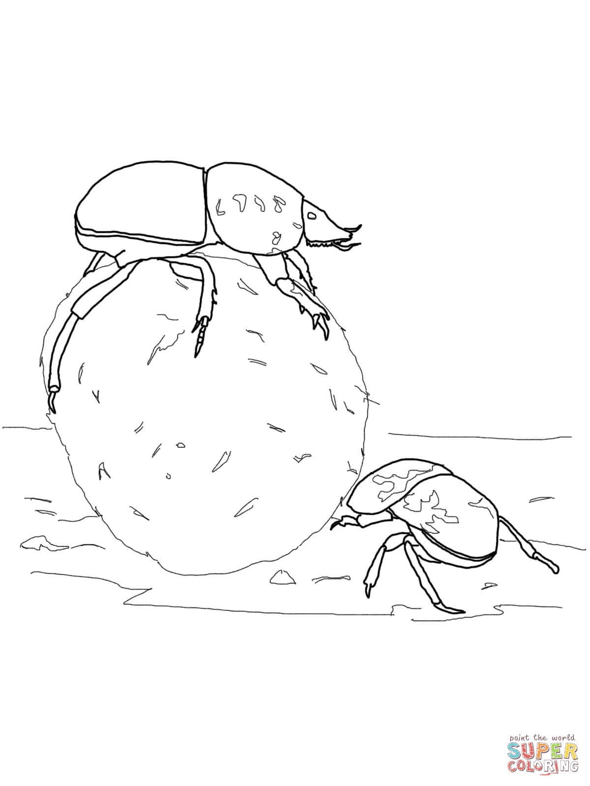 1200x1600 Vw Beetle Coloring Pages New Volkswagen Beetle