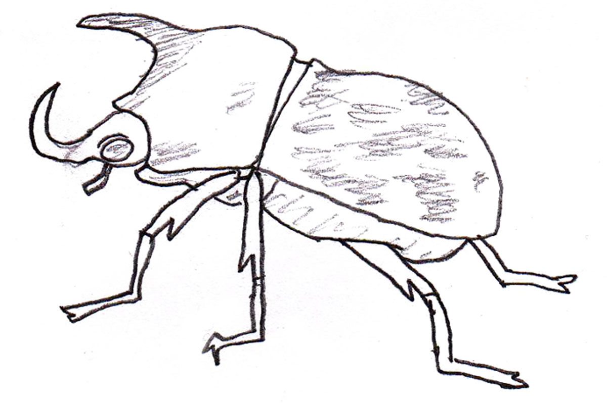 1200x800 Blue Beetleoloring Pages Lady Insects Pdf Beetlejuiceolouring