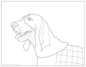 300x232 Color Our Big Orange World Torchbearer