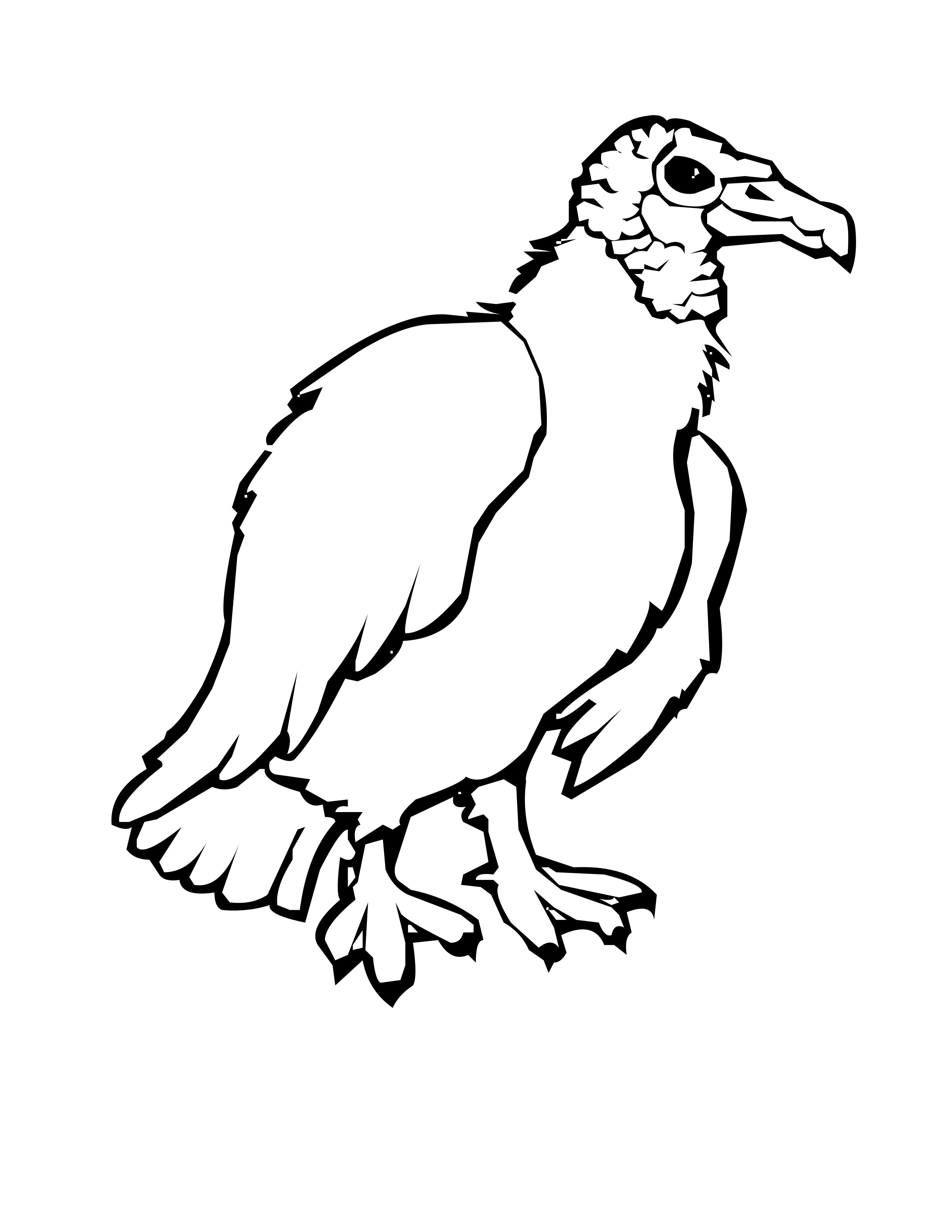2550x3300 Odd Vulture Coloring Pages Download And Print
