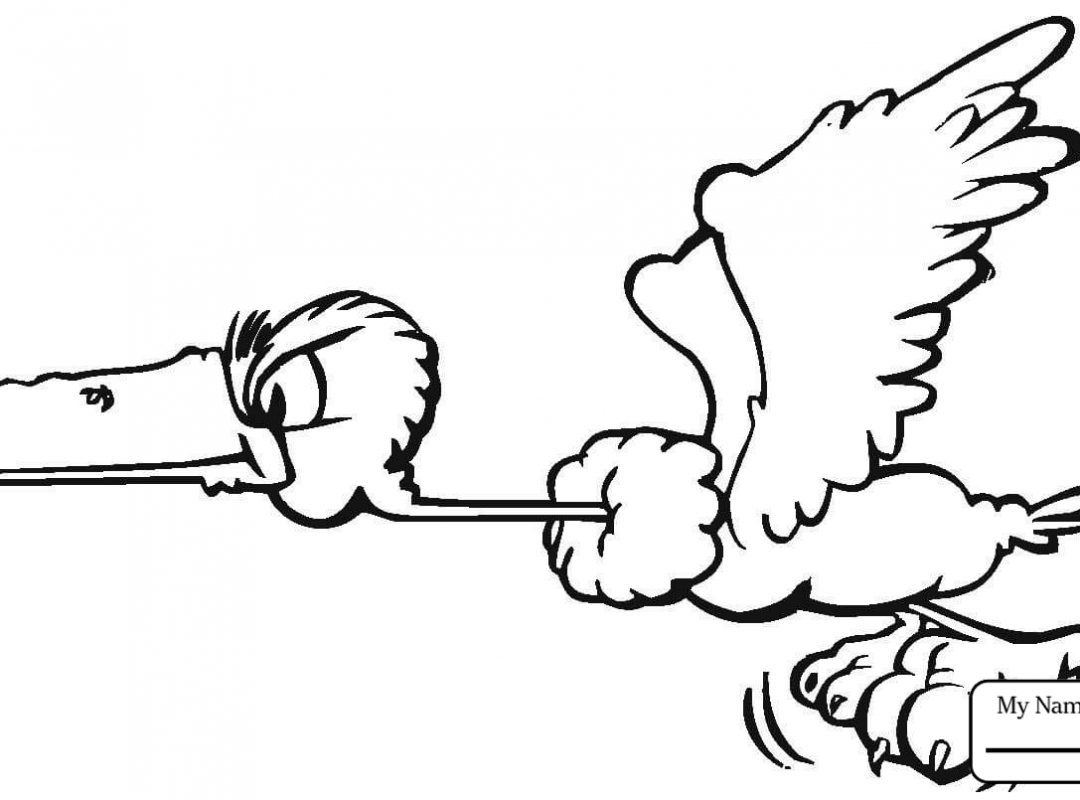 1080x800 Realistic Turkey Vulture Coloring Page Free Printable To Print