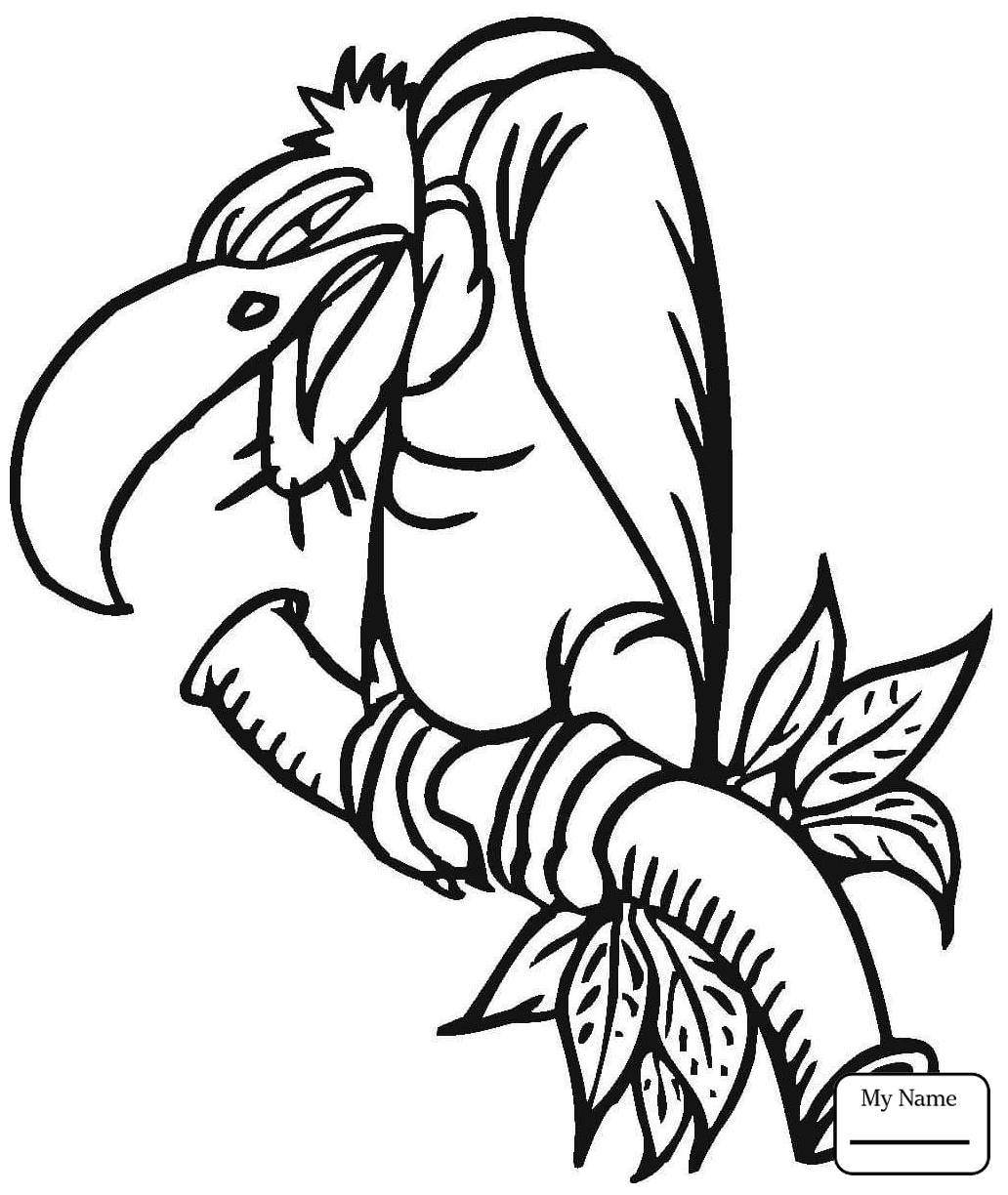 1032x1224 Vulture Birds Vultures Coloring Pages For Kids Free Page To Print