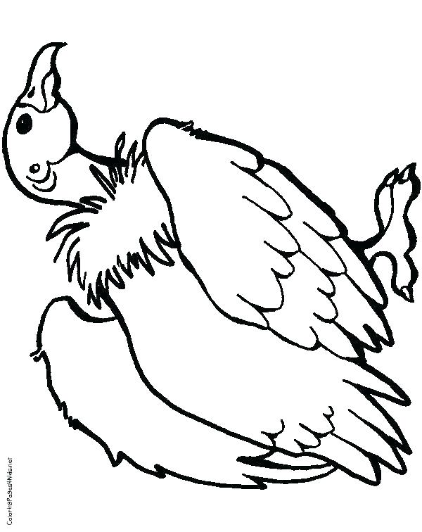 600x756 Vulture Coloring Pages Pigeon King Vulture Coloring Pages