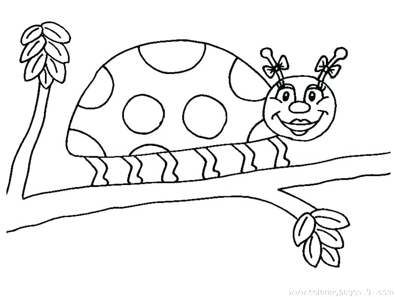 800x602 Bug Coloring Pages Lady Bug Coloring Page Ladybugs Coloring Pages