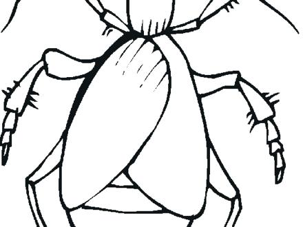 440x330 Bugs Life Printable Coloring Pages Bug Coloring Page Lady Bug