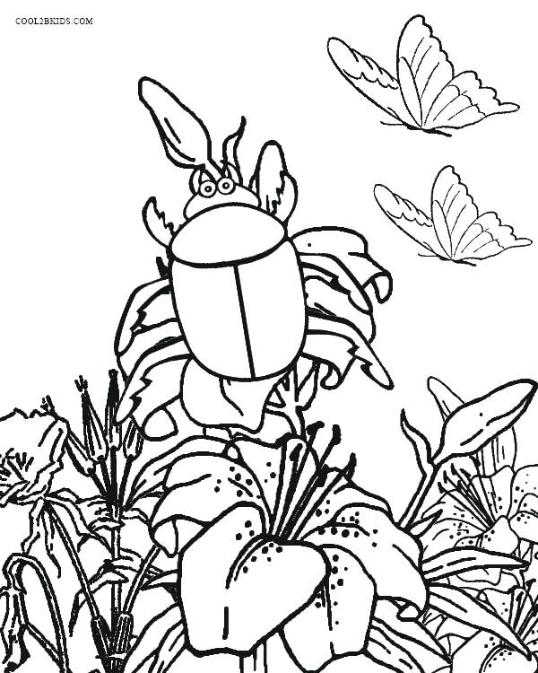 600x750 Bug Coloring Page Bugs Coloring Page Best Bug Coloring Pages