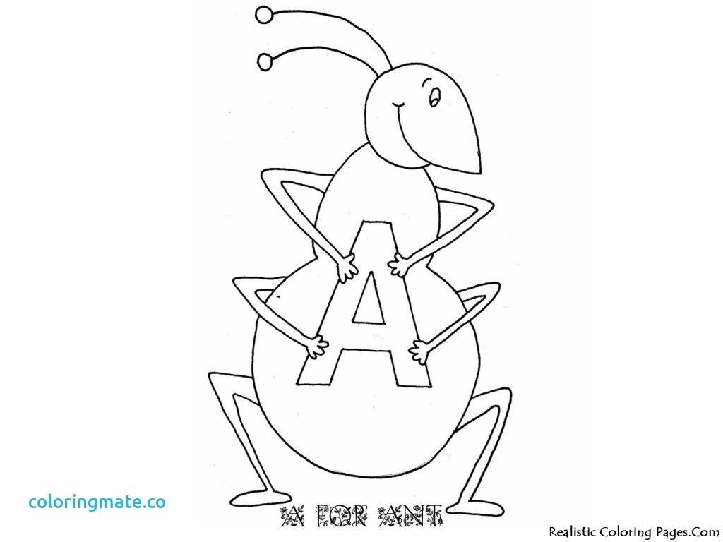 1024x768 Appealing Letter Coloring Pages Fresh Cartoon Wagon Wheel Bing