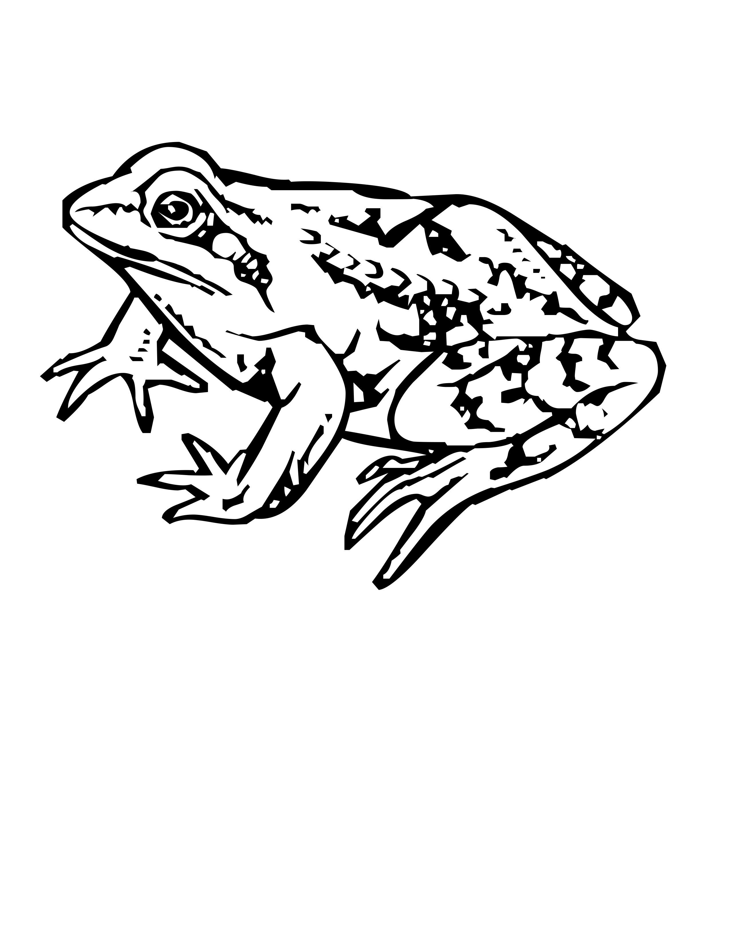2550x3300 Free Frog Coloring Pages