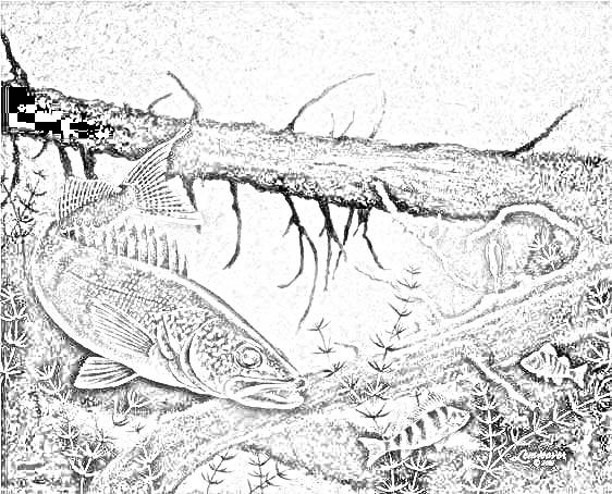 562x454 Outdoor Coloring Page Free Download