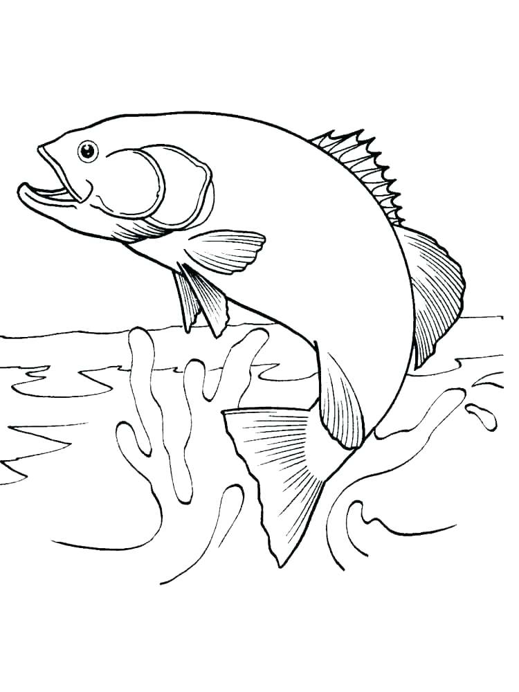 750x1000 Salmon Coloring Pages Extraordinary Ideas Pike Animal Coloring