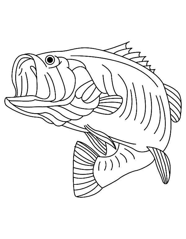 600x771 Top Bass Coloring Pages