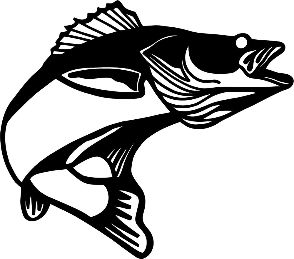 1000x881 Walleye Cliparts