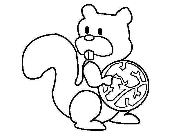 600x470 Nut Coloring Page