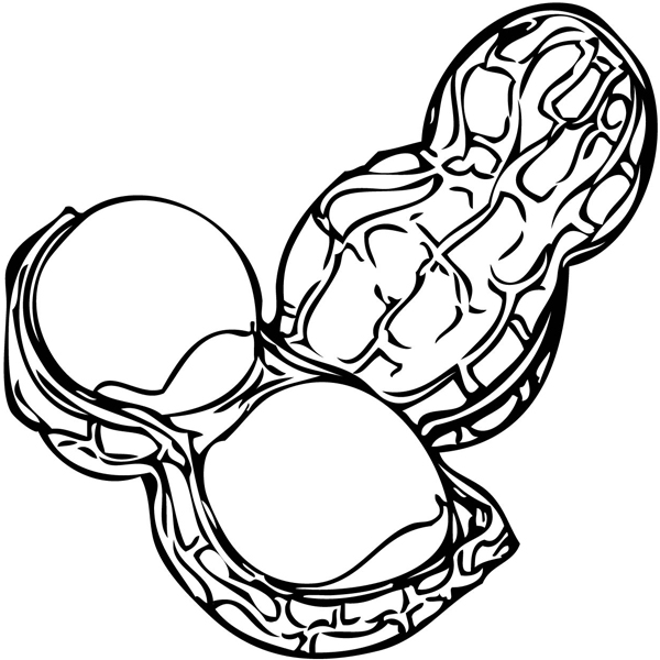 600x600 Nut Coloring Page Beautiful Coloring Pages Surprising Peanut
