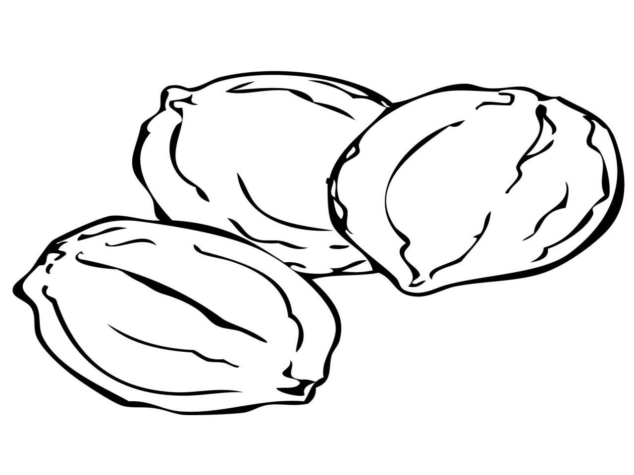 1280x960 Nut Coloring Pages Page Eson