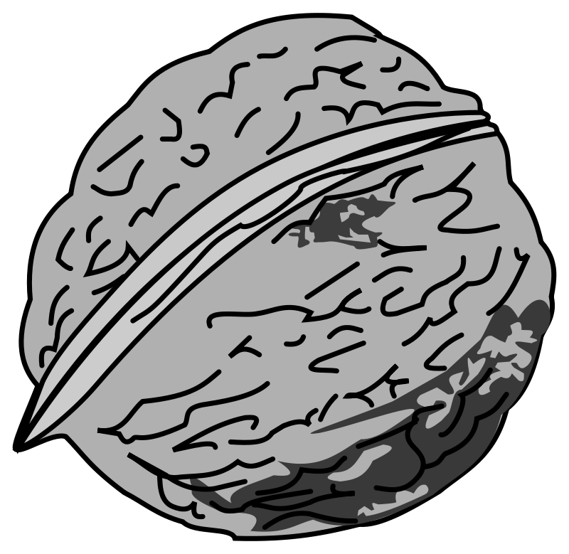 800x779 Nut Clipart Black And White