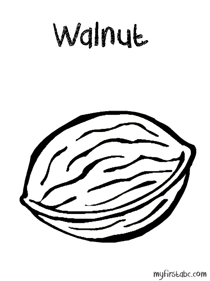 718x958 Walnut Coloring Page