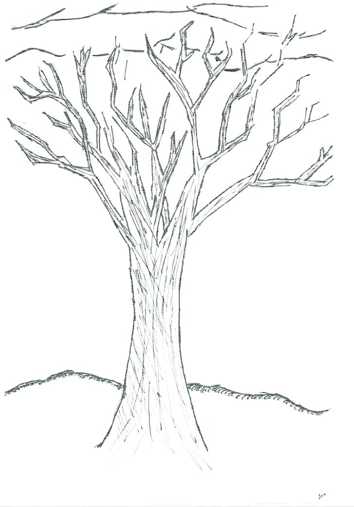 728x1044 Winter Tree Coloring Page Gorgeous Tree On Winter Season Coloring
