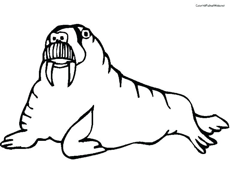 768x612 Walrus Coloring Page Walrus Coloring Pages Coloring Page Walrus