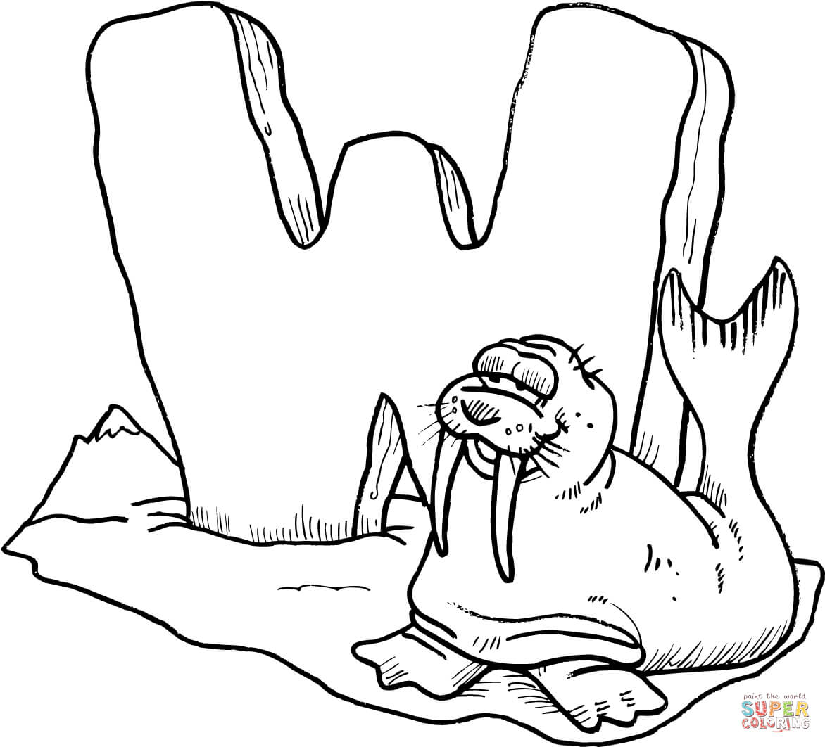 1172x1062 Walrus Coloring Pages
