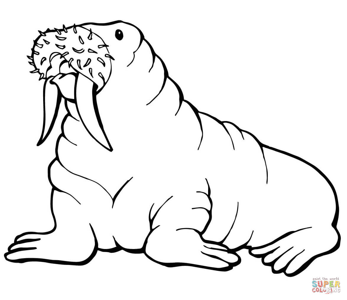 1174x1018 Walrus With Mustache Coloring Page Free Printable Pages