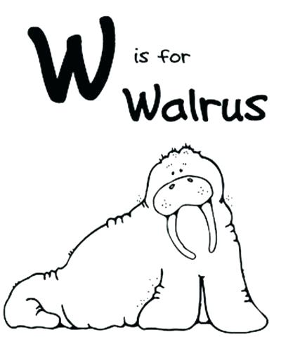 400x500 Walrus Coloring Pages Coloring Ideas Pro