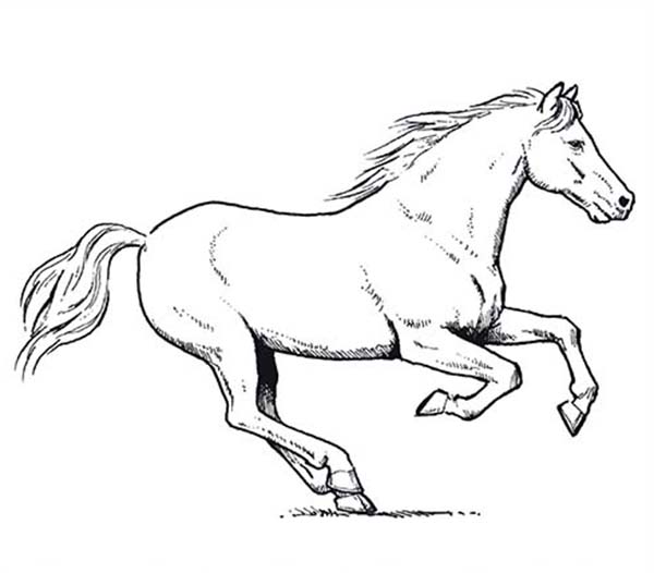 600x526 Horse Amazing Pace In Horses Coloring Page