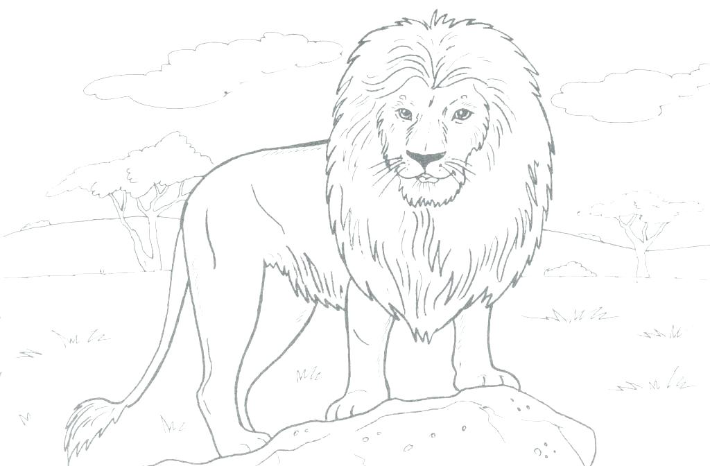 1024x672 Free Printable Lion Coloring Pages Lion Witch