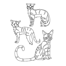 230x230 Top Free Printable Warrior Cats Coloring Pages Online