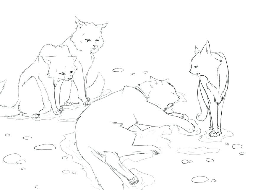 900x643 Warrior Cat Coloring Pages To Print Out Warrior Cat Coloring