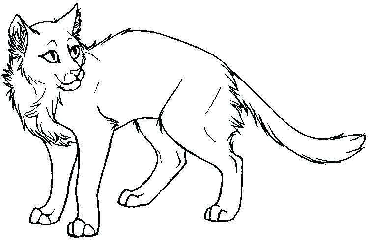 751x497 Warrior Cats Coloring Cat A Warrior Warrior Cats Fighting Coloring