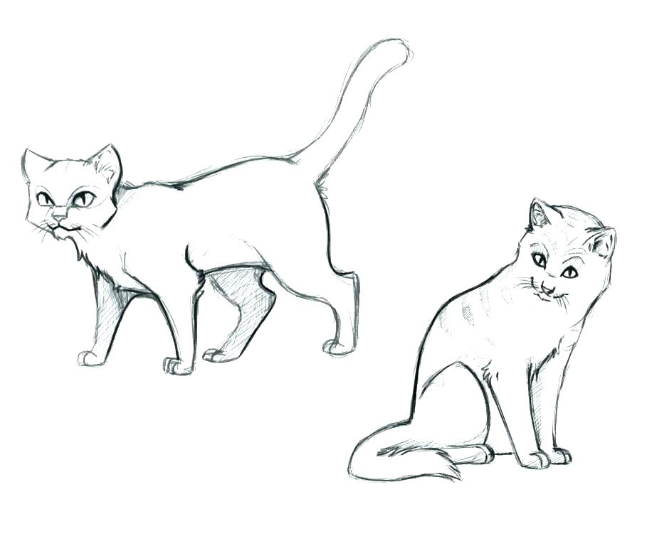 909x761 Coloring Pages Cats Cat Coloring Pages Online Warrior Cat Coloring