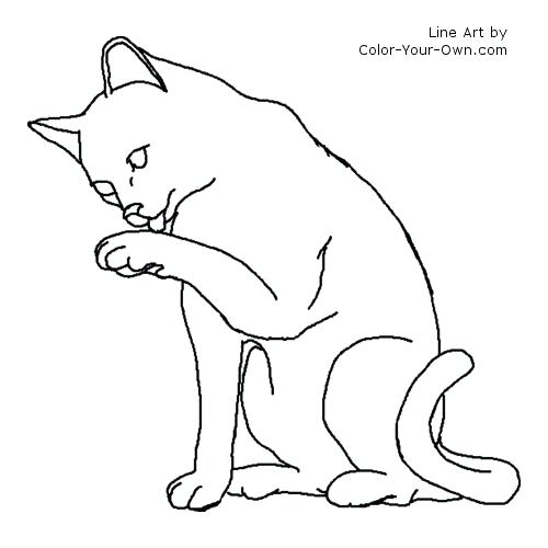 500x500 Warrior Cat Coloring Pages Warrior Cats Coloring Pages Coloring