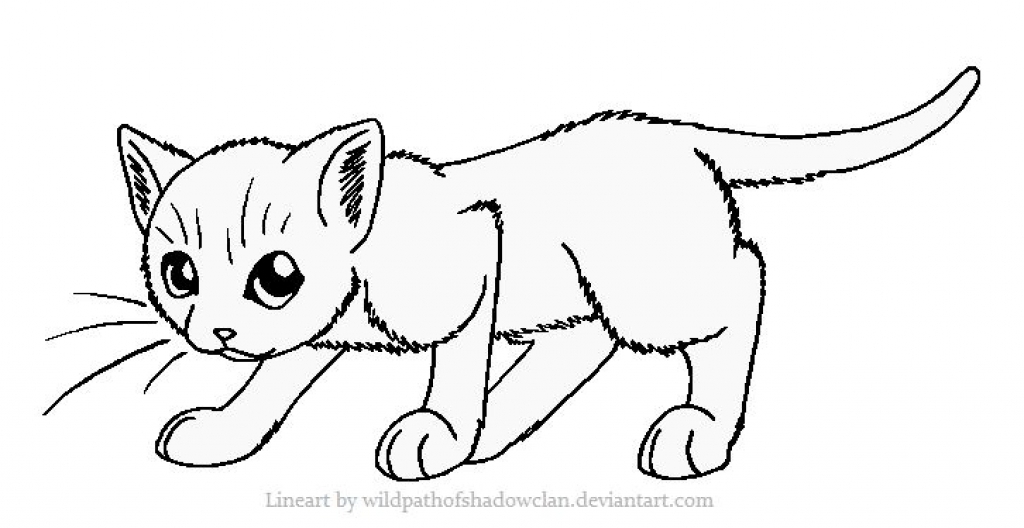 1024x528 Warrior Cats Coloring Pages Perfect Cats Coloring Sheets Cat
