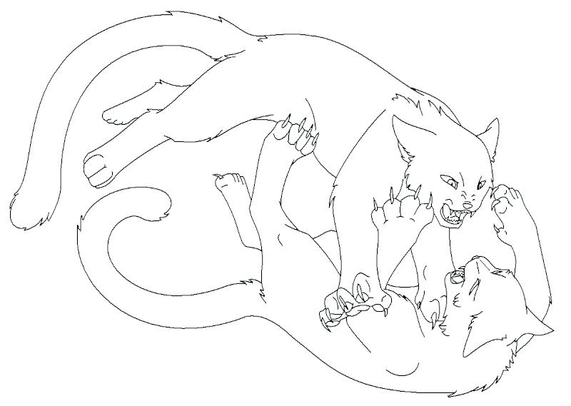 800x569 Cat Coloring Pages Printable And Warrior Cats Coloring Pages