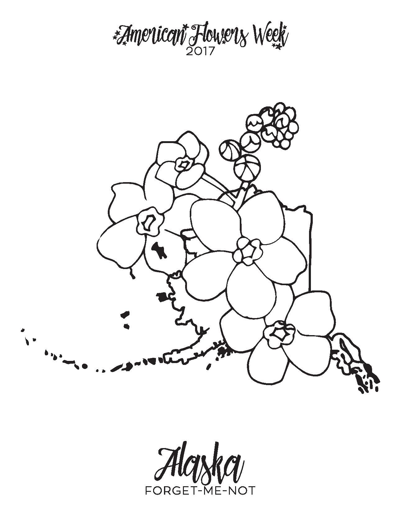 1275x1650 Astonishing Washington State Flag Coloring Page Pic Of Flower