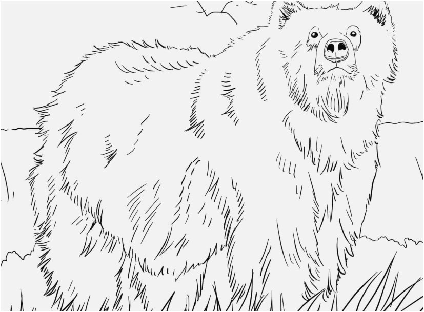 827x609 Farm Animal Coloring Pages Graphic Bear Animal Coloring Pages Bear