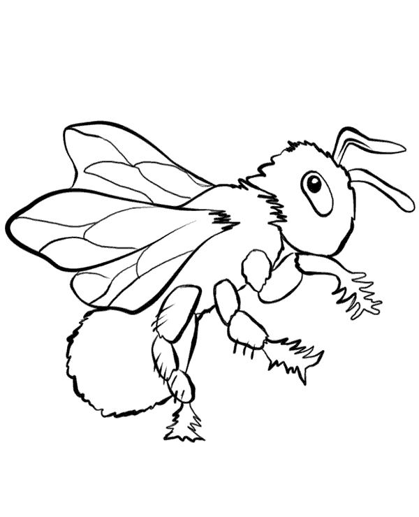 600x740 Fly Printable Coloring Page To Print Or Download For Free